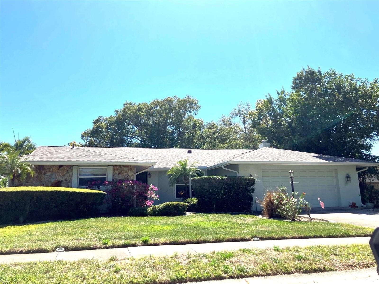 1071 PERSIMMON DR, PALM HARBOR, FL — photo 47