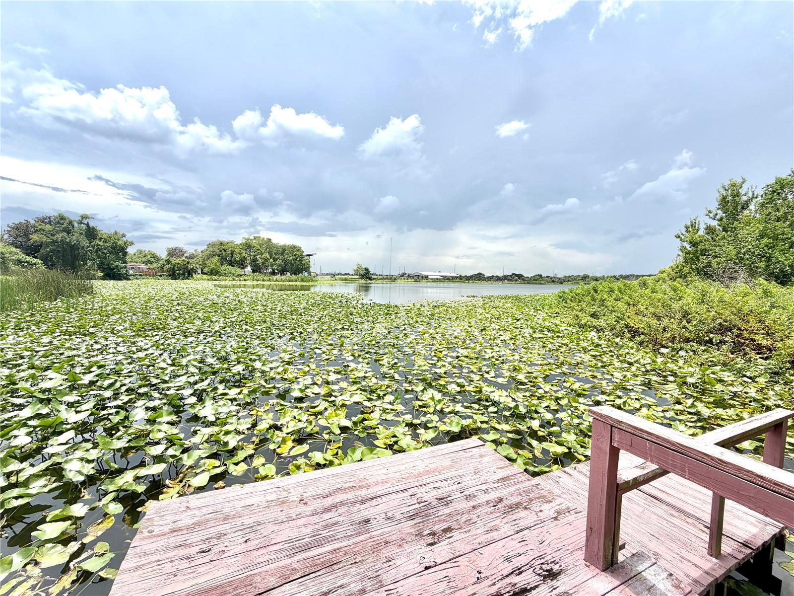 1312 LAWNE BLVD, ORLANDO, FL — photo 18