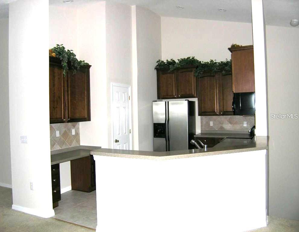 27802 PLEASURE RIDE LOOP, WESLEY CHAPEL, FL — photo 5
