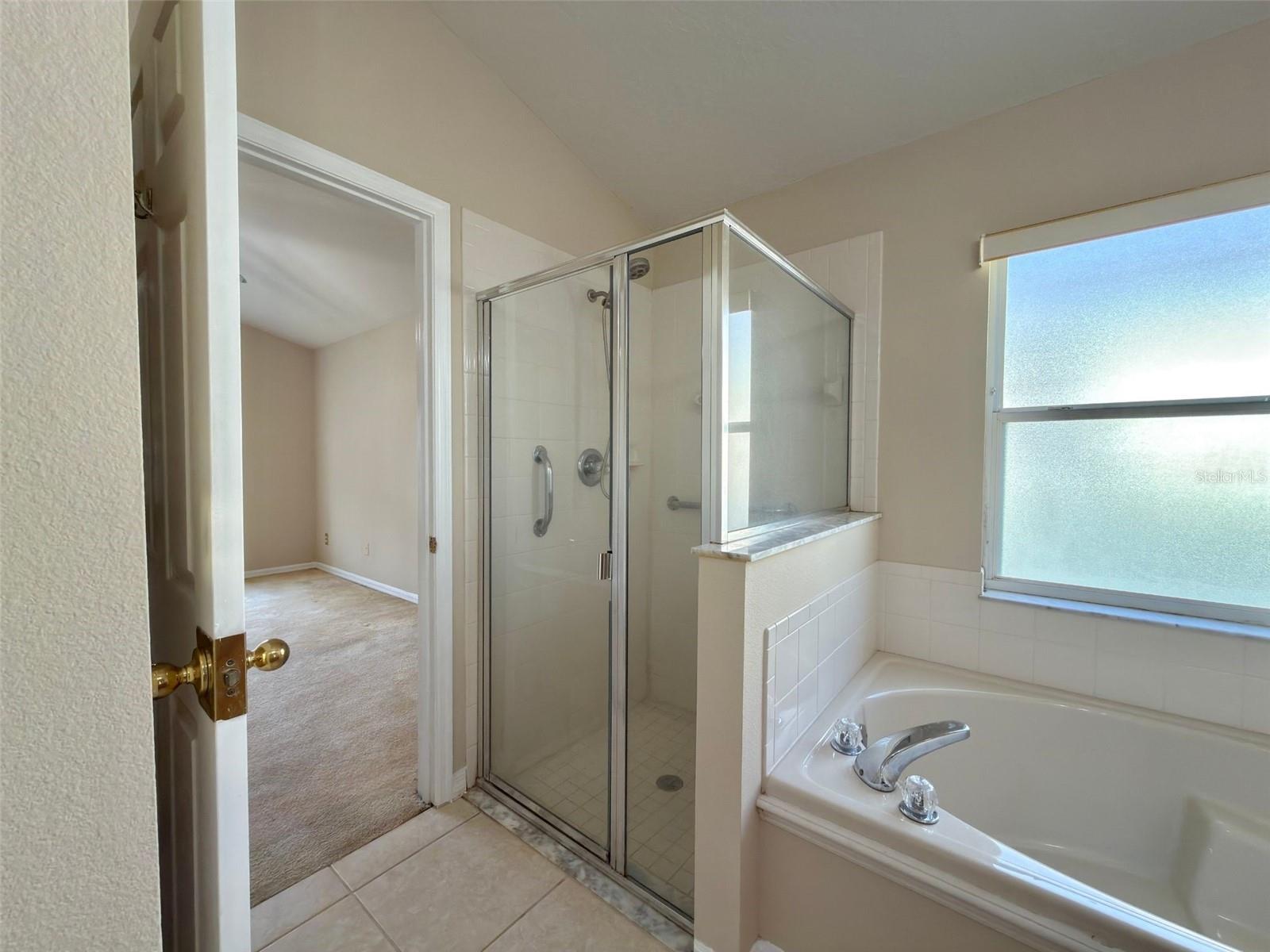3513 MCALLISTER WAY, ORLANDO, FL — photo 46