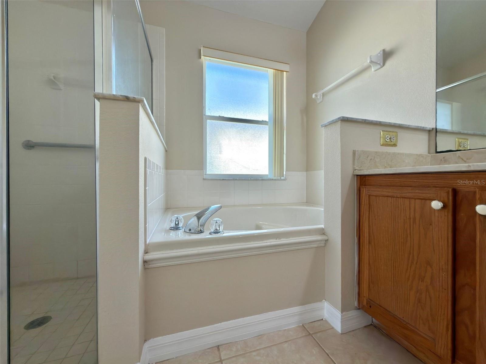 3513 MCALLISTER WAY, ORLANDO, FL — photo 47