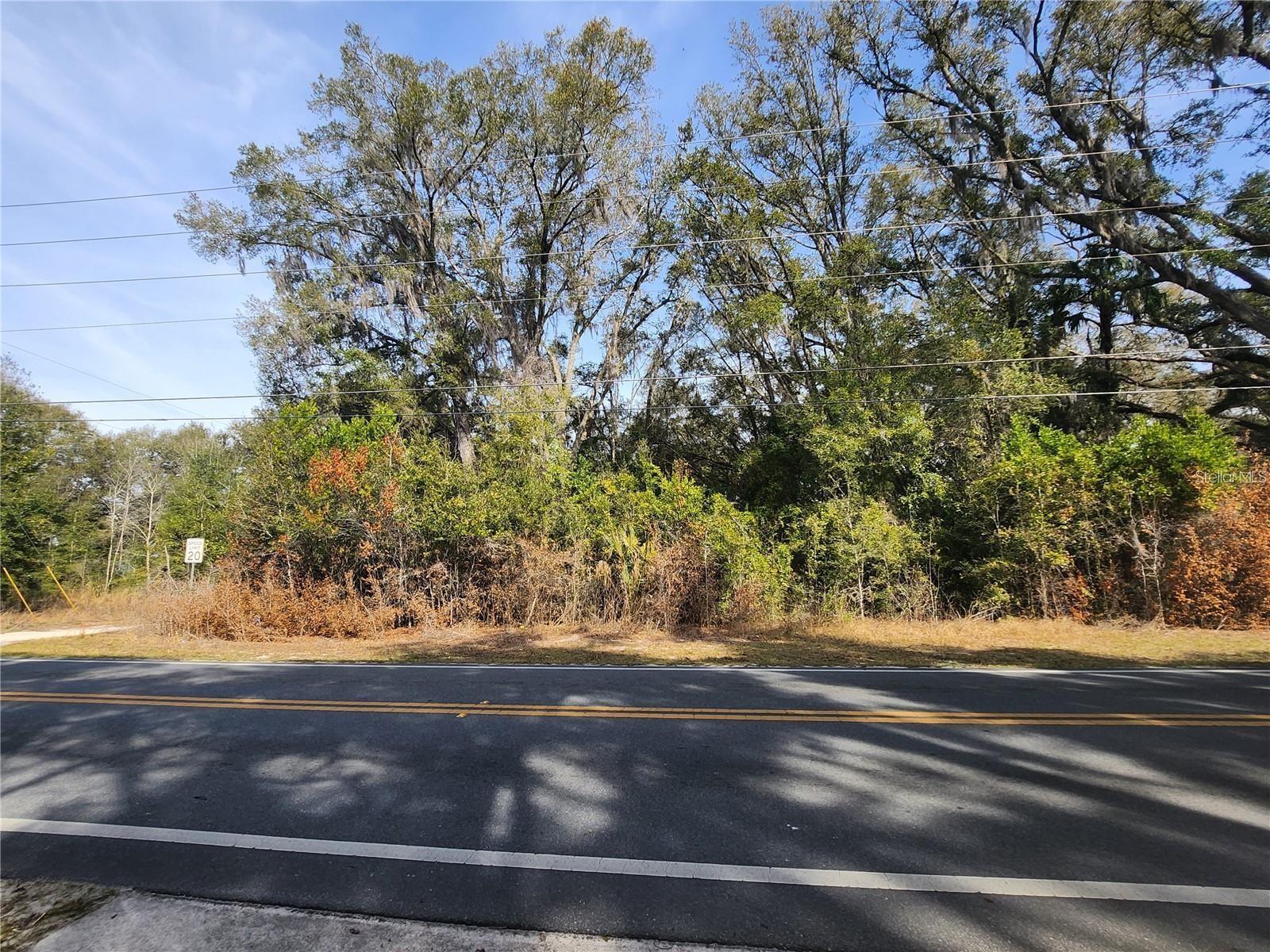 SE 36TH CT, SUMMERFIELD, FL — photo 3