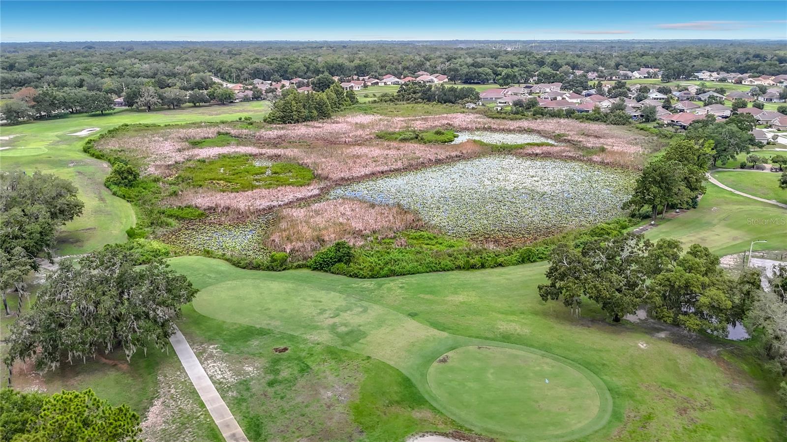 13540 PLANTATION LAKE CIR, HUDSON, FL — photo 59