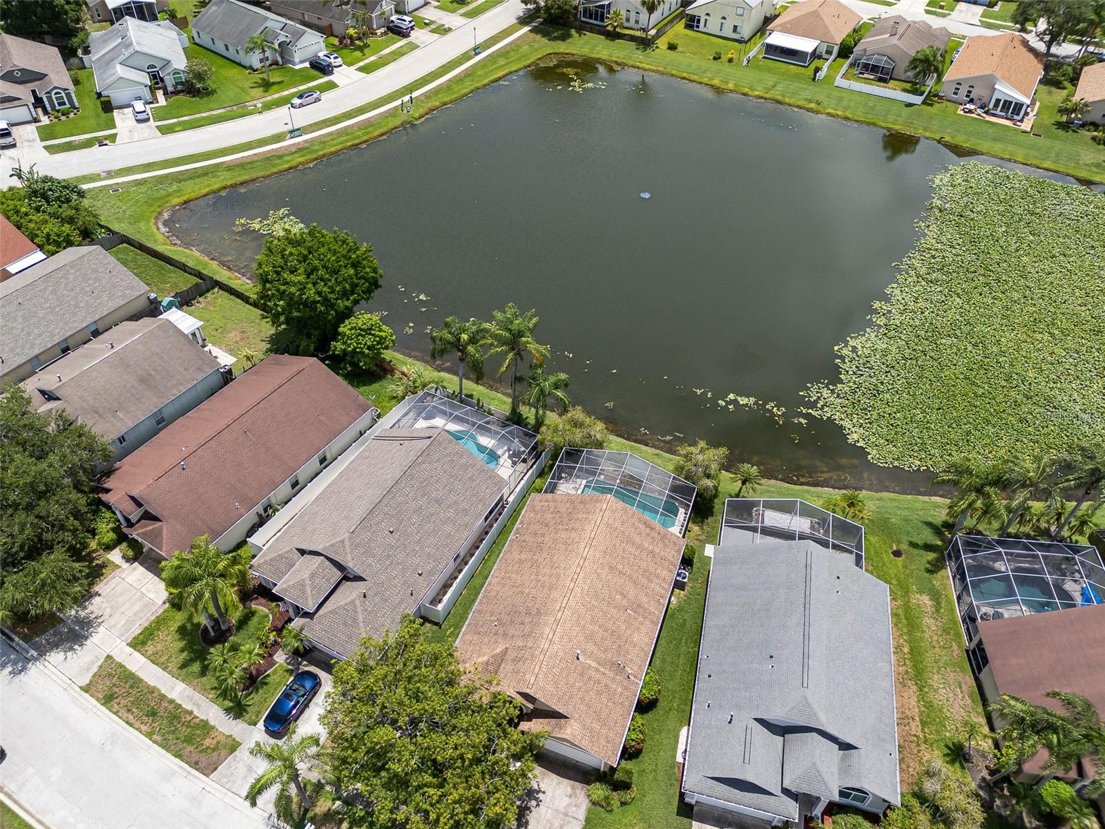 8512 HEYWARD RD, TAMPA, FL — photo 70