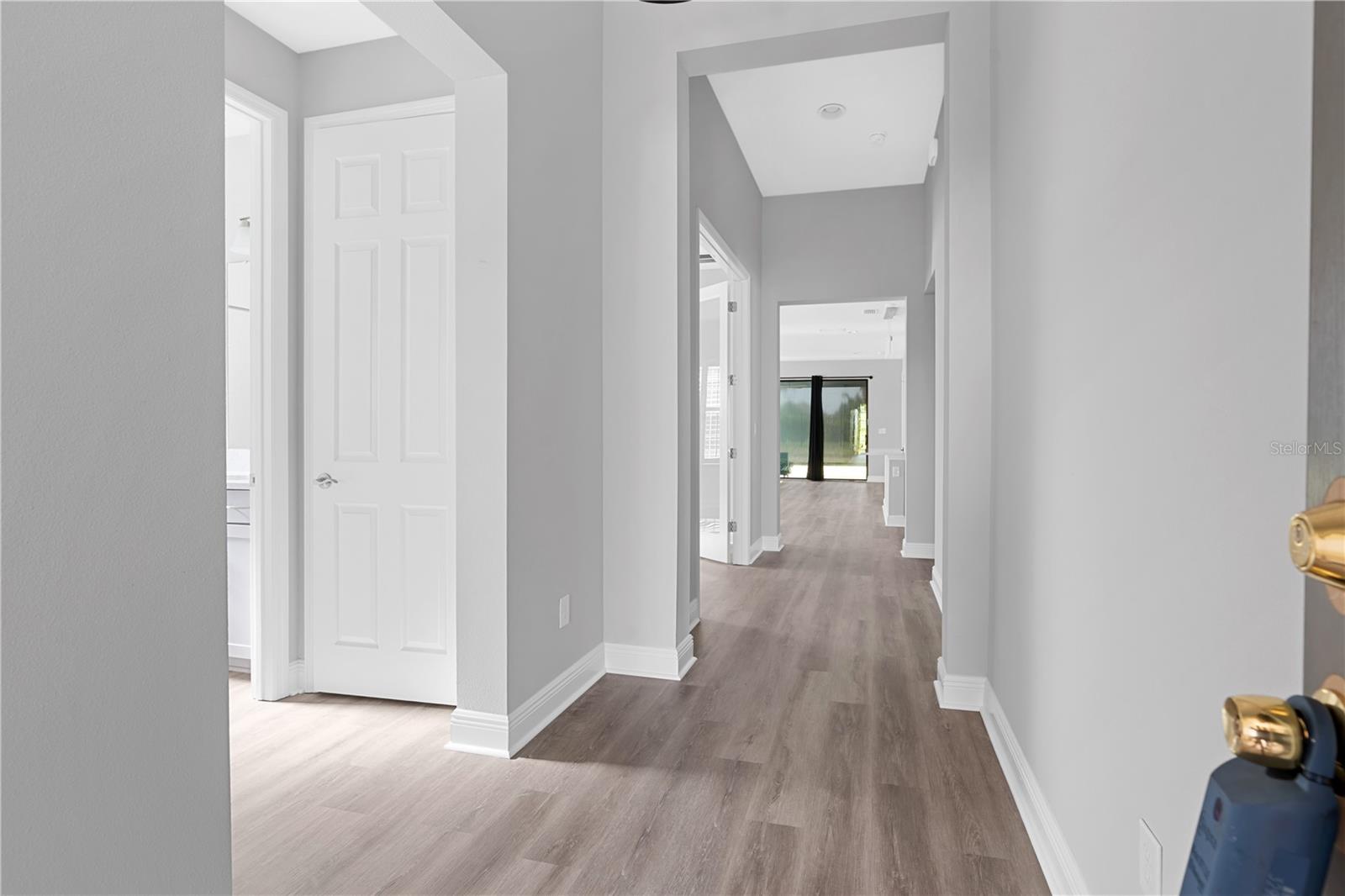6227 GOLDEN NETTLE DR, APOLLO BEACH, FL — photo 5