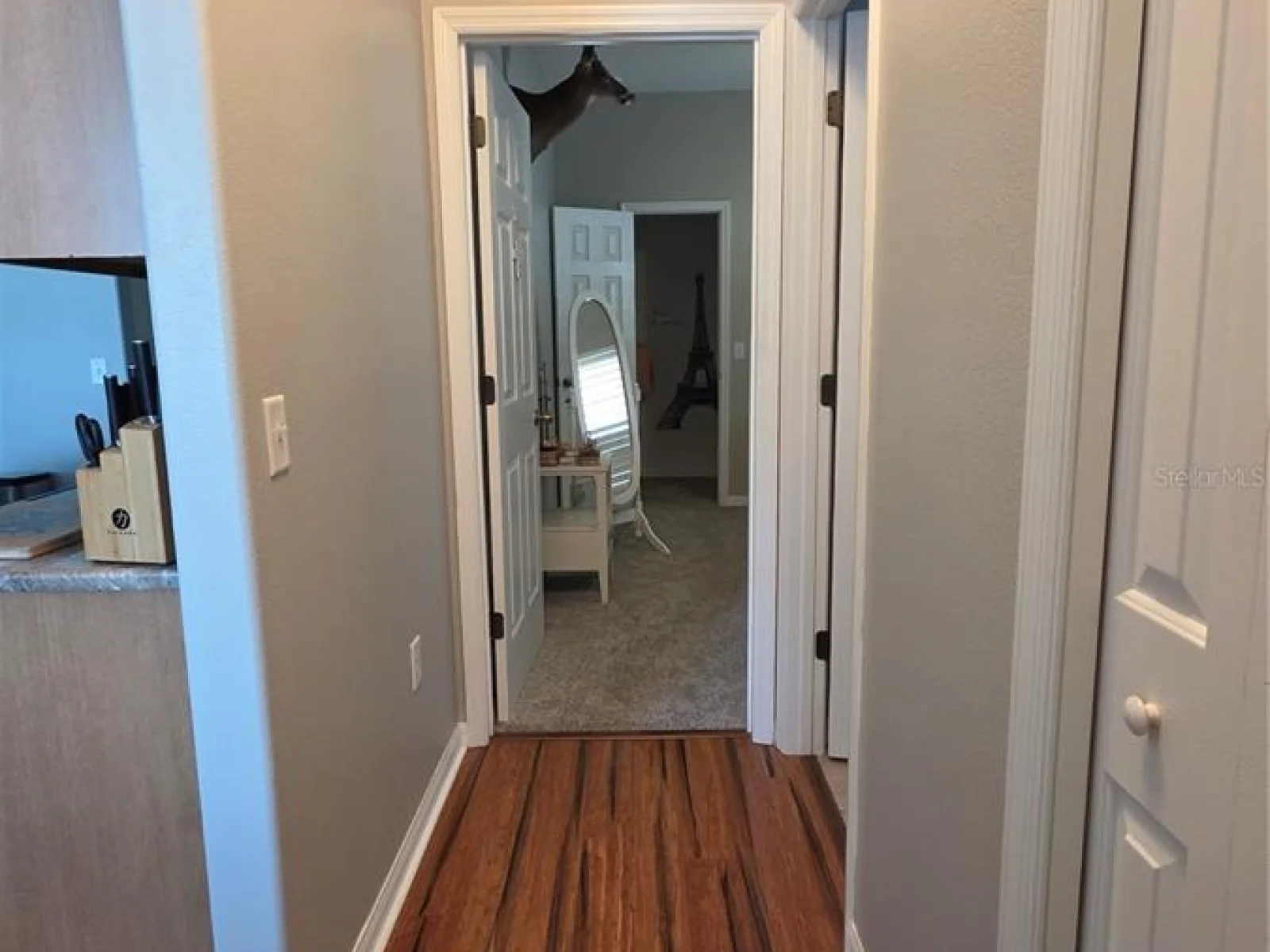 36812 QUEEN BEE LN, GRAND ISLAND, FL — photo 42