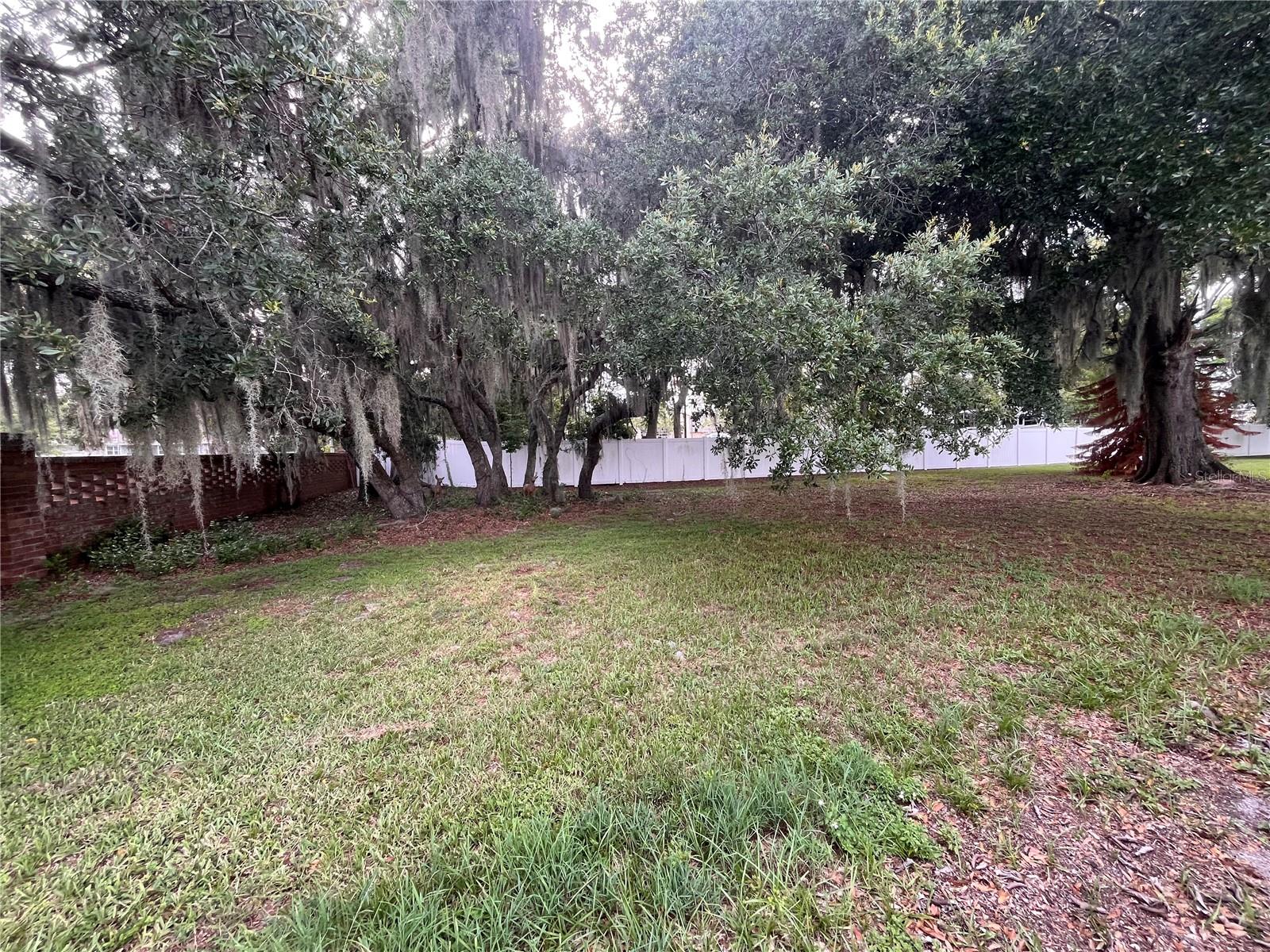 1504 HAWAIIAN PALM LN, APOPKA, FL — photo 39