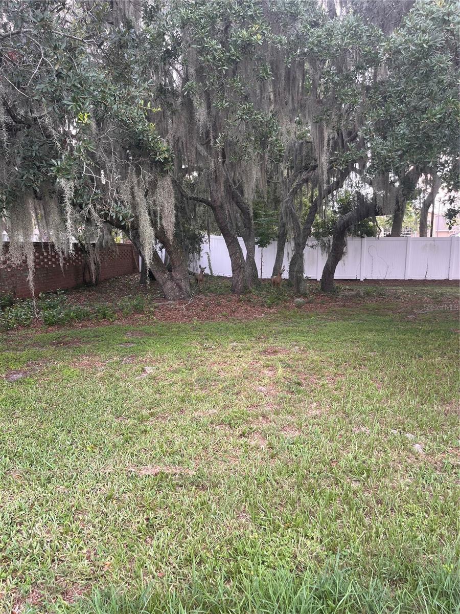 1504 HAWAIIAN PALM LN, APOPKA, FL — photo 40