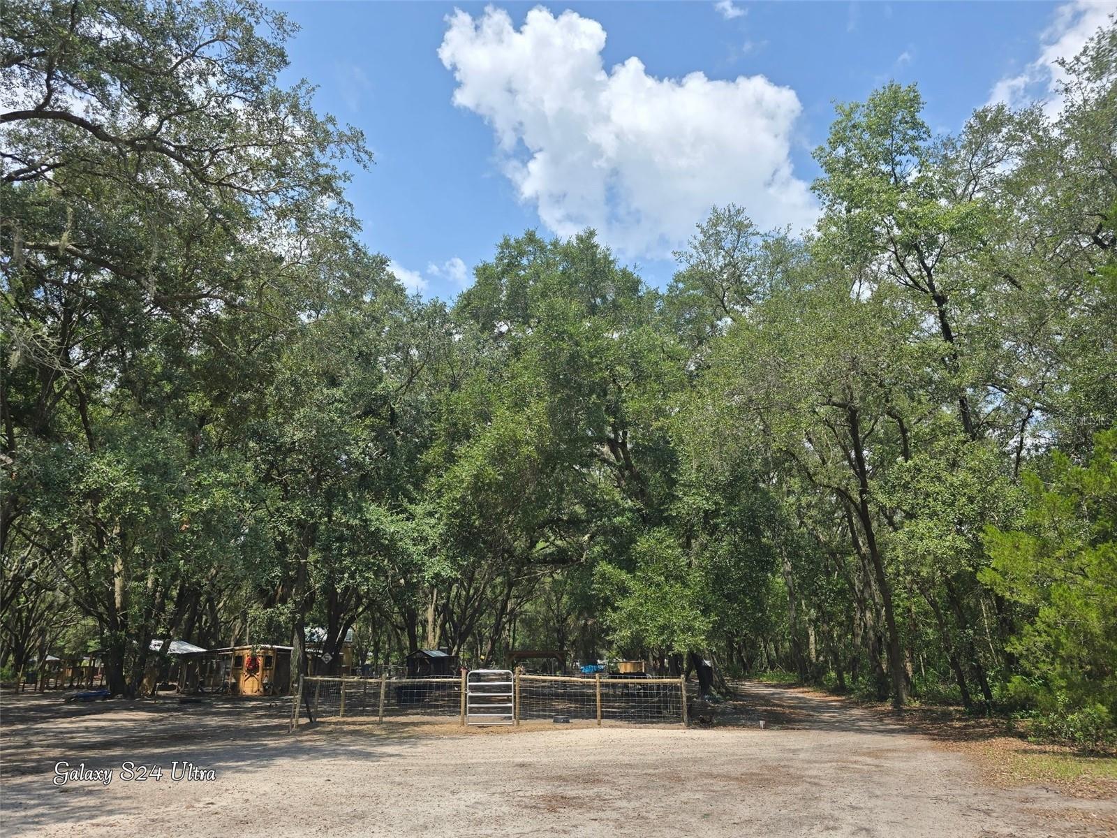 17120 SE 130TH AVE, WEIRSDALE, FL — photo 4