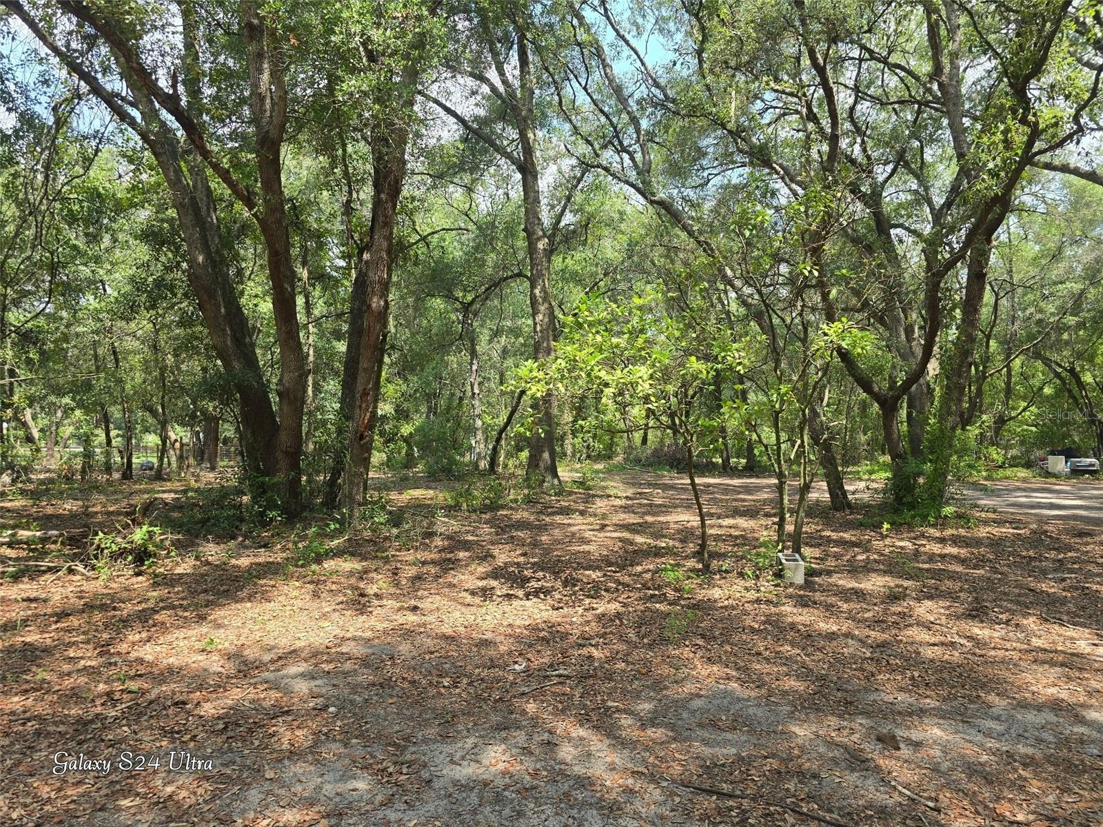 17120 SE 130TH AVE, WEIRSDALE, FL — photo 6