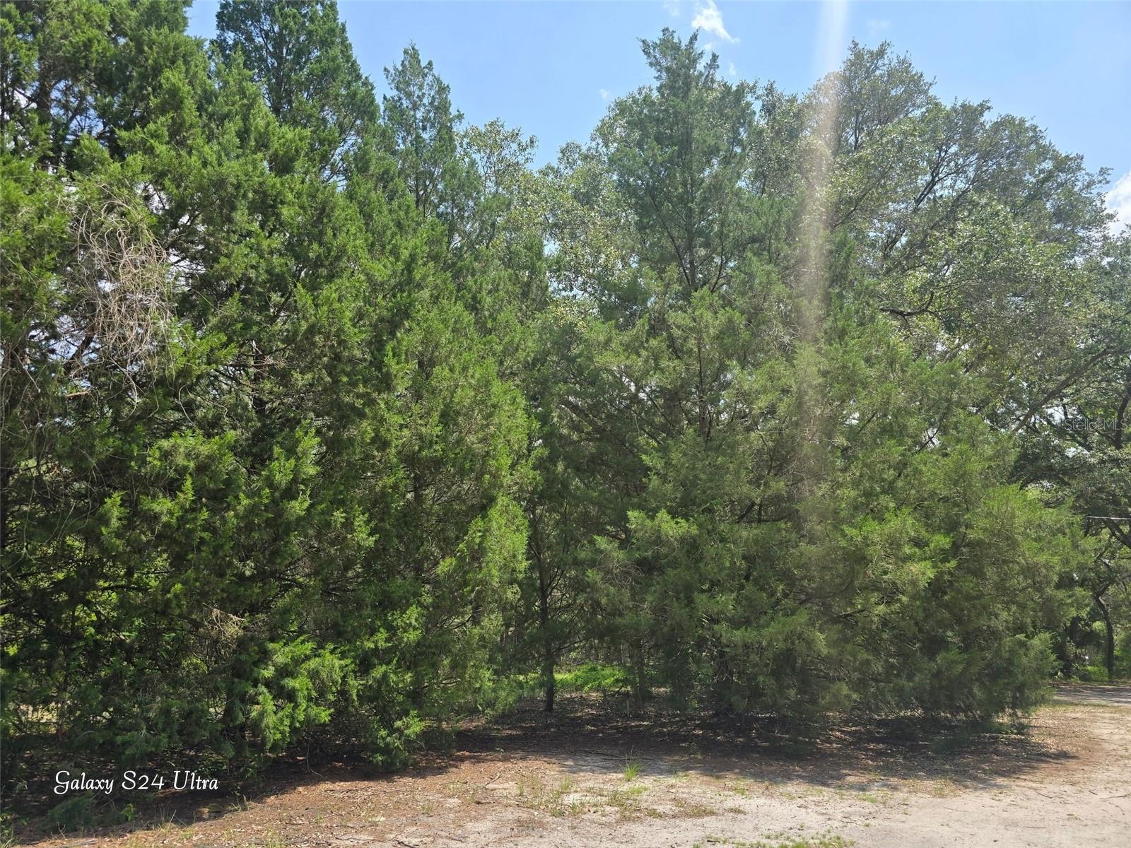 17120 SE 130TH AVE, WEIRSDALE, FL — photo 7