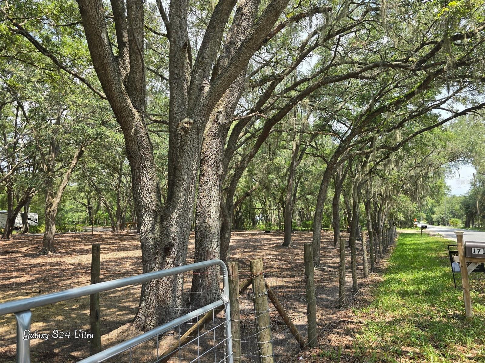 17120 SE 130TH AVE, WEIRSDALE, FL — photo 9