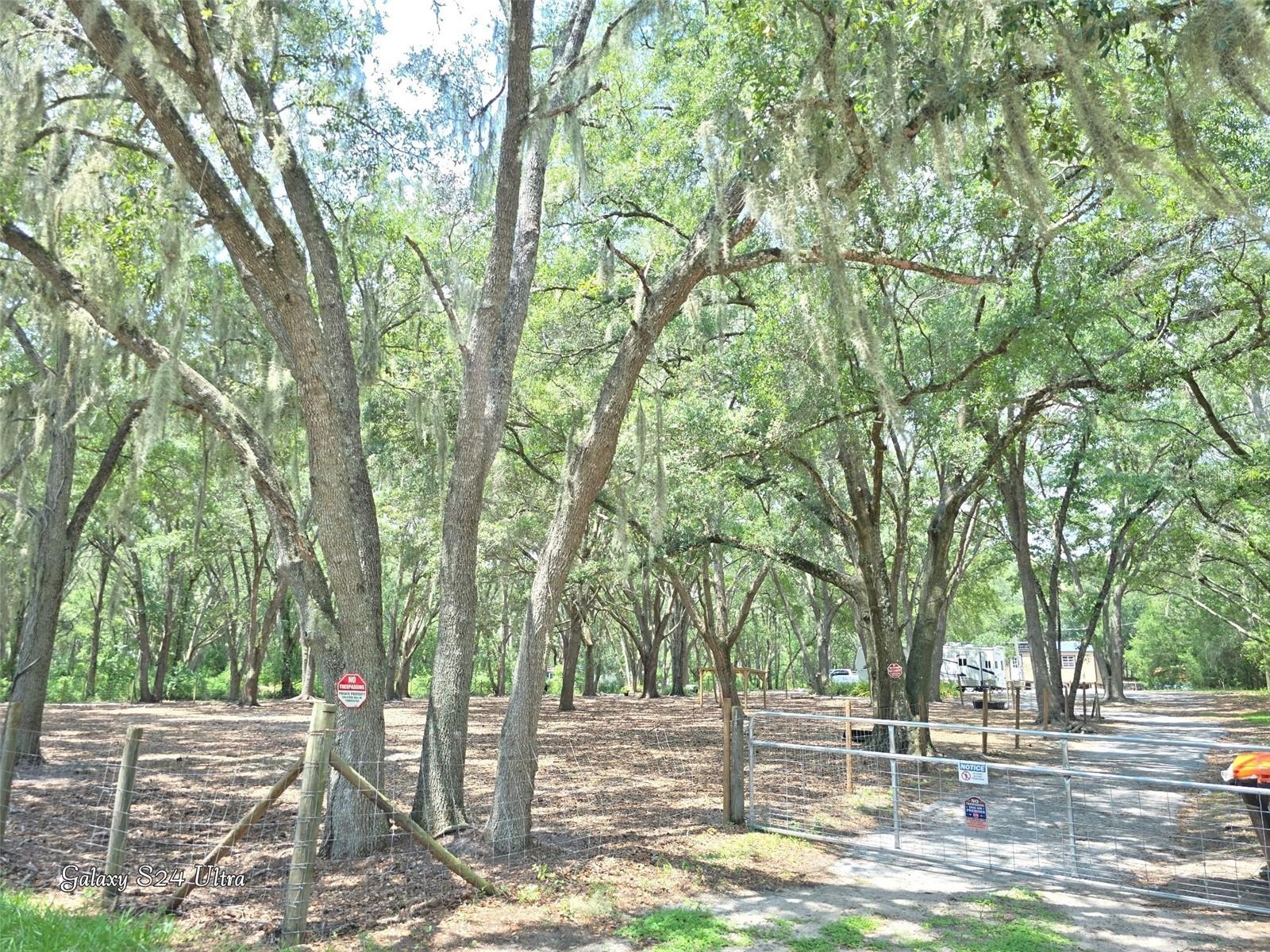 17120 SE 130TH AVE, WEIRSDALE, FL — photo 10