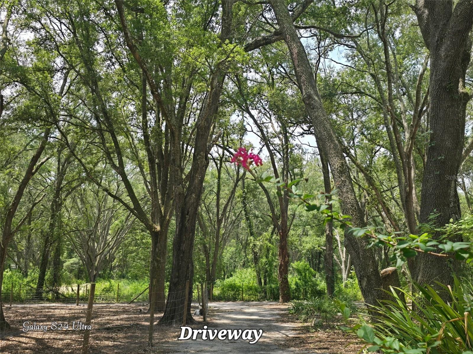 17120 SE 130TH AVE, WEIRSDALE, FL — photo 12