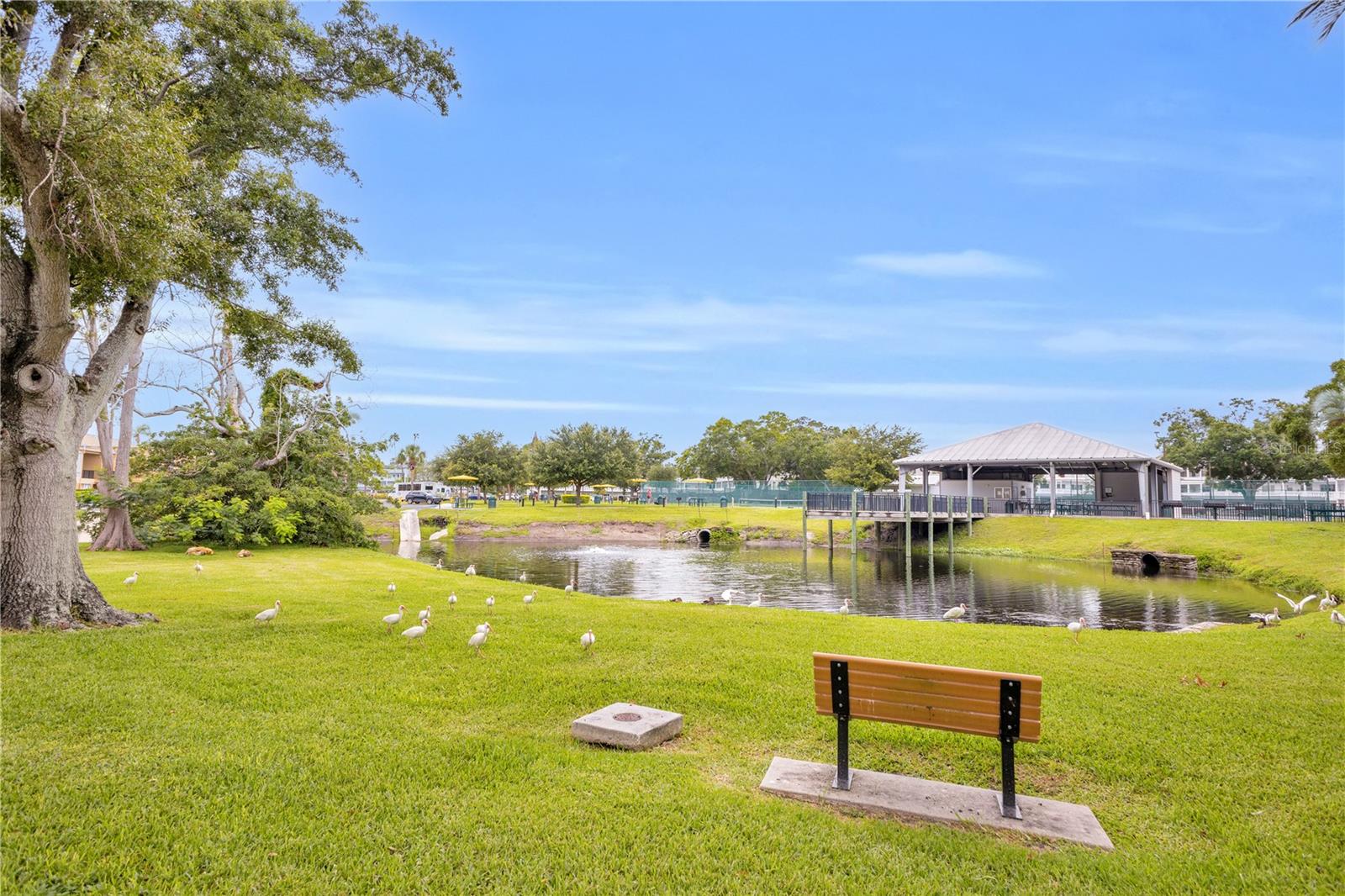 2451 CANADIAN WAY #29, CLEARWATER, FL — photo 34