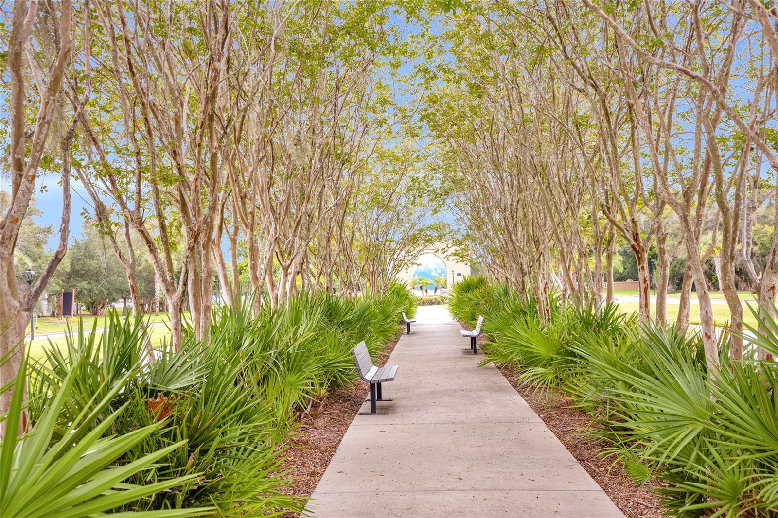 2451 CANADIAN WAY #29, CLEARWATER, FL — photo 47