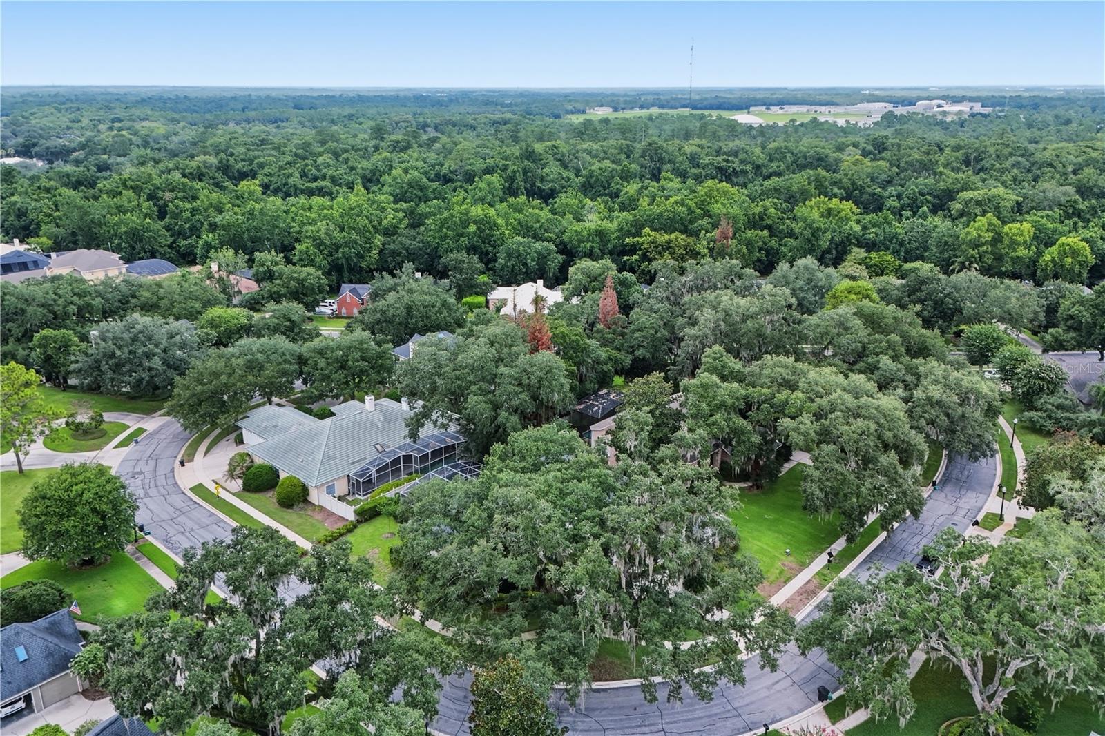 3780 CHARLESTON LOOP, OVIEDO, FL — photo 51
