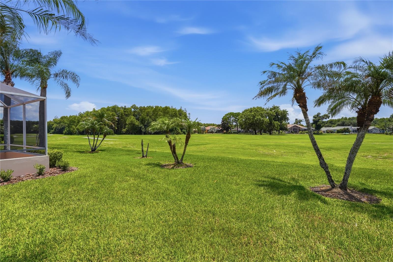 1063 DARTFORD DR, TARPON SPRINGS, FL — photo 42
