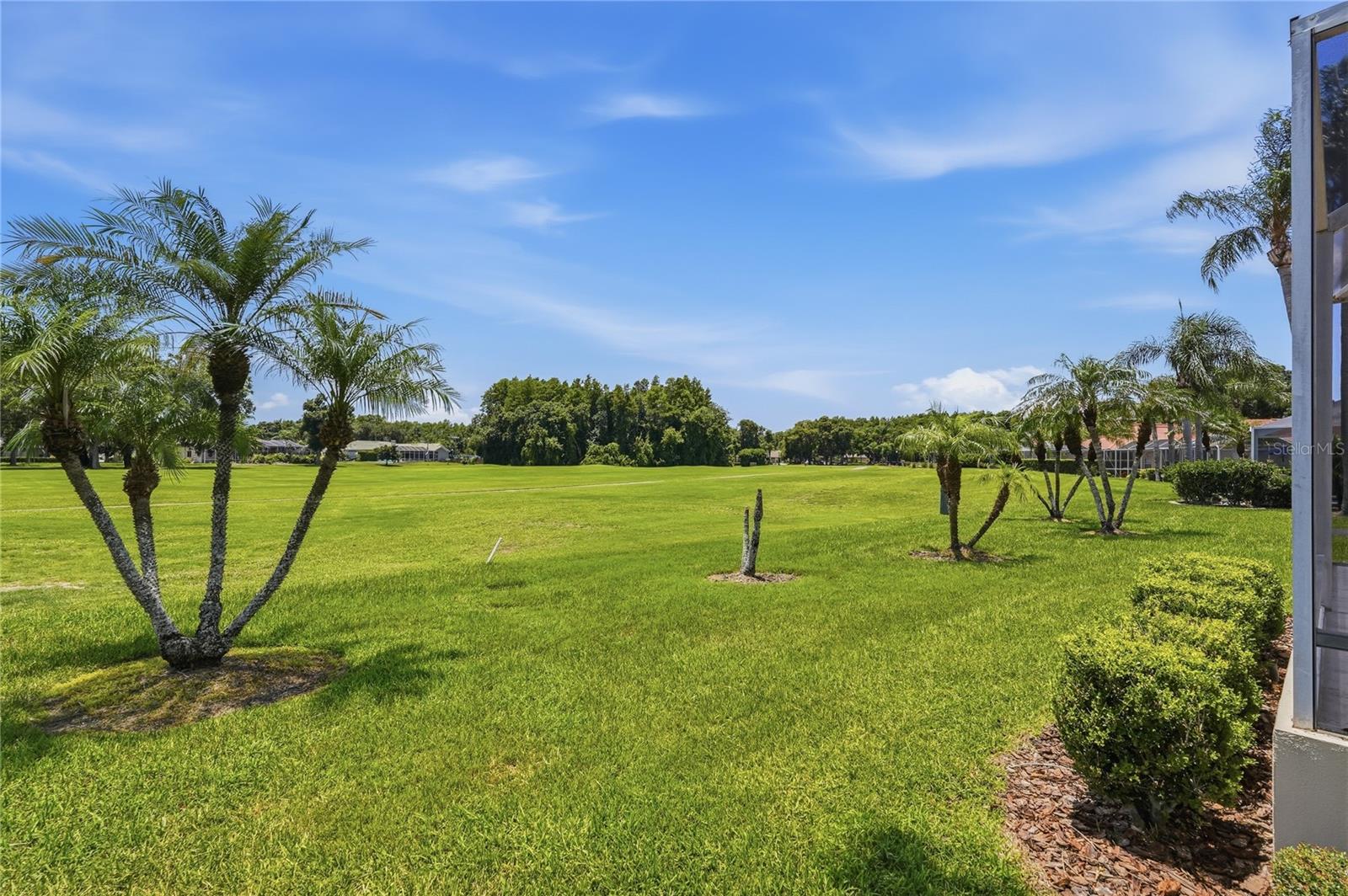1063 DARTFORD DR, TARPON SPRINGS, FL — photo 43