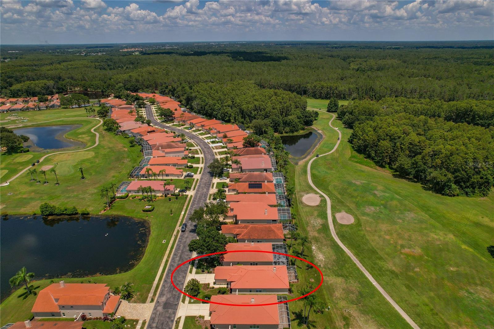 1063 DARTFORD DR, TARPON SPRINGS, FL — photo 44