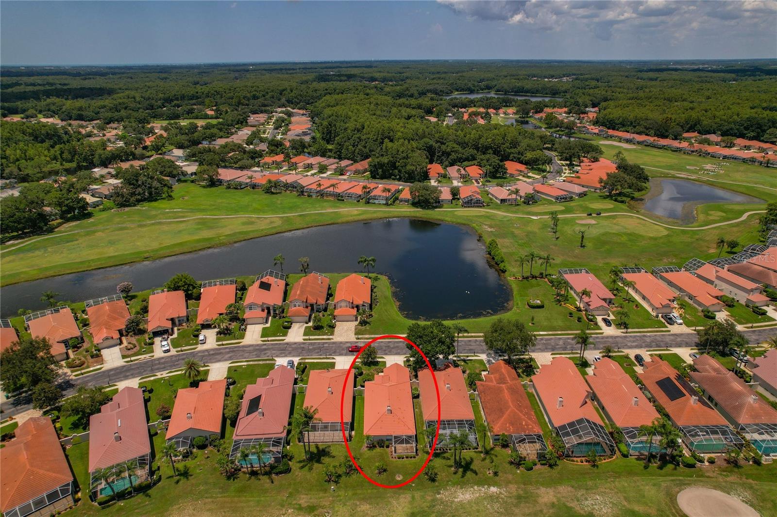 1063 DARTFORD DR, TARPON SPRINGS, FL — photo 48