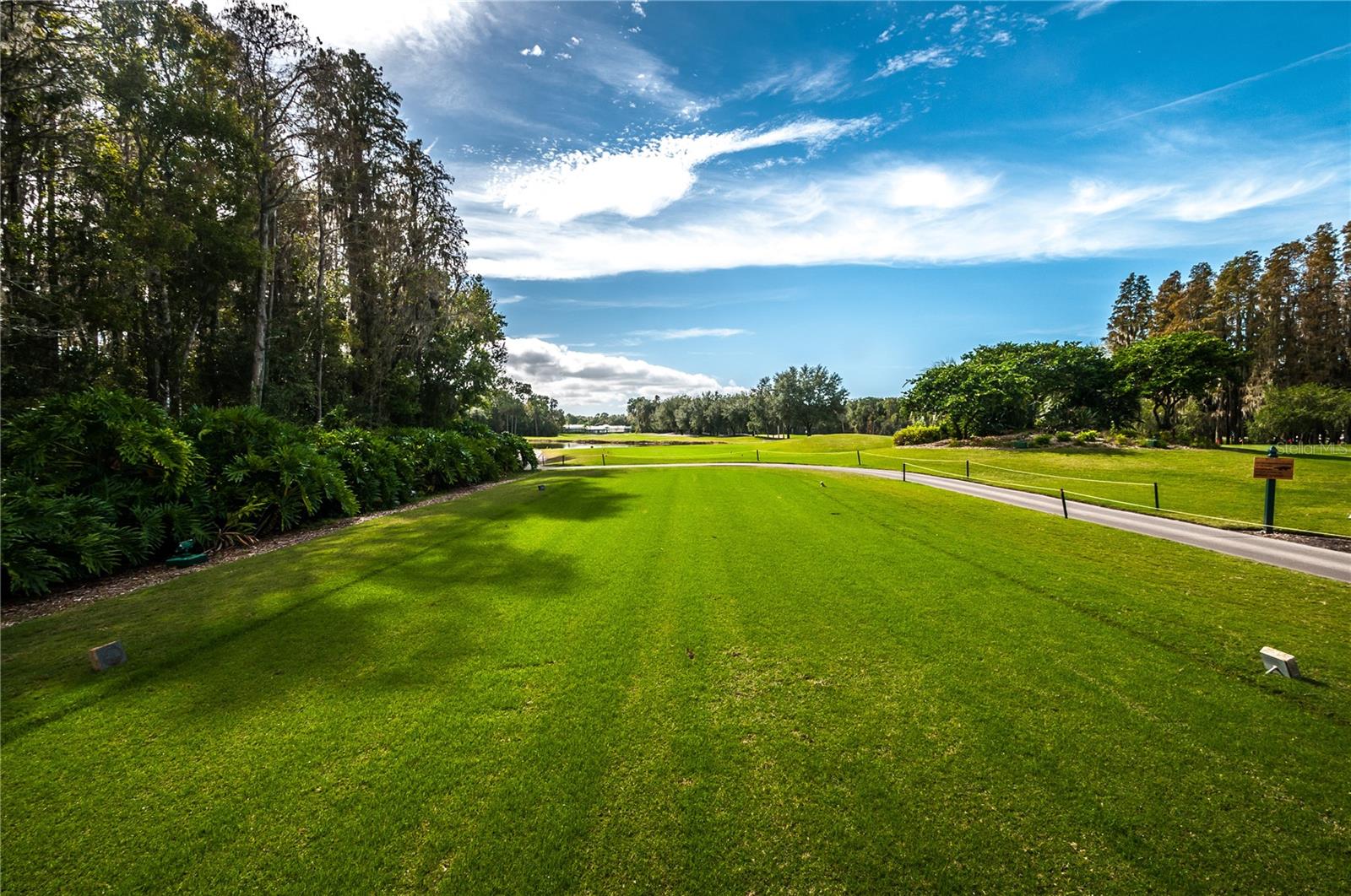 1063 DARTFORD DR, TARPON SPRINGS, FL — photo 66