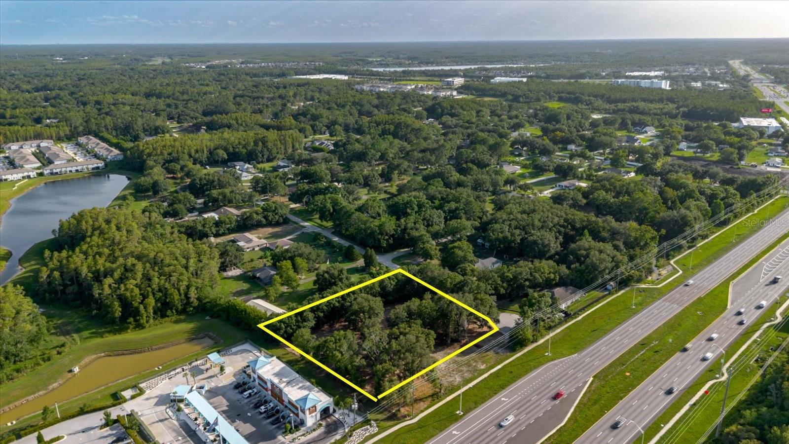 17380 RIVERSTONE DR, LUTZ, FL — photo 38