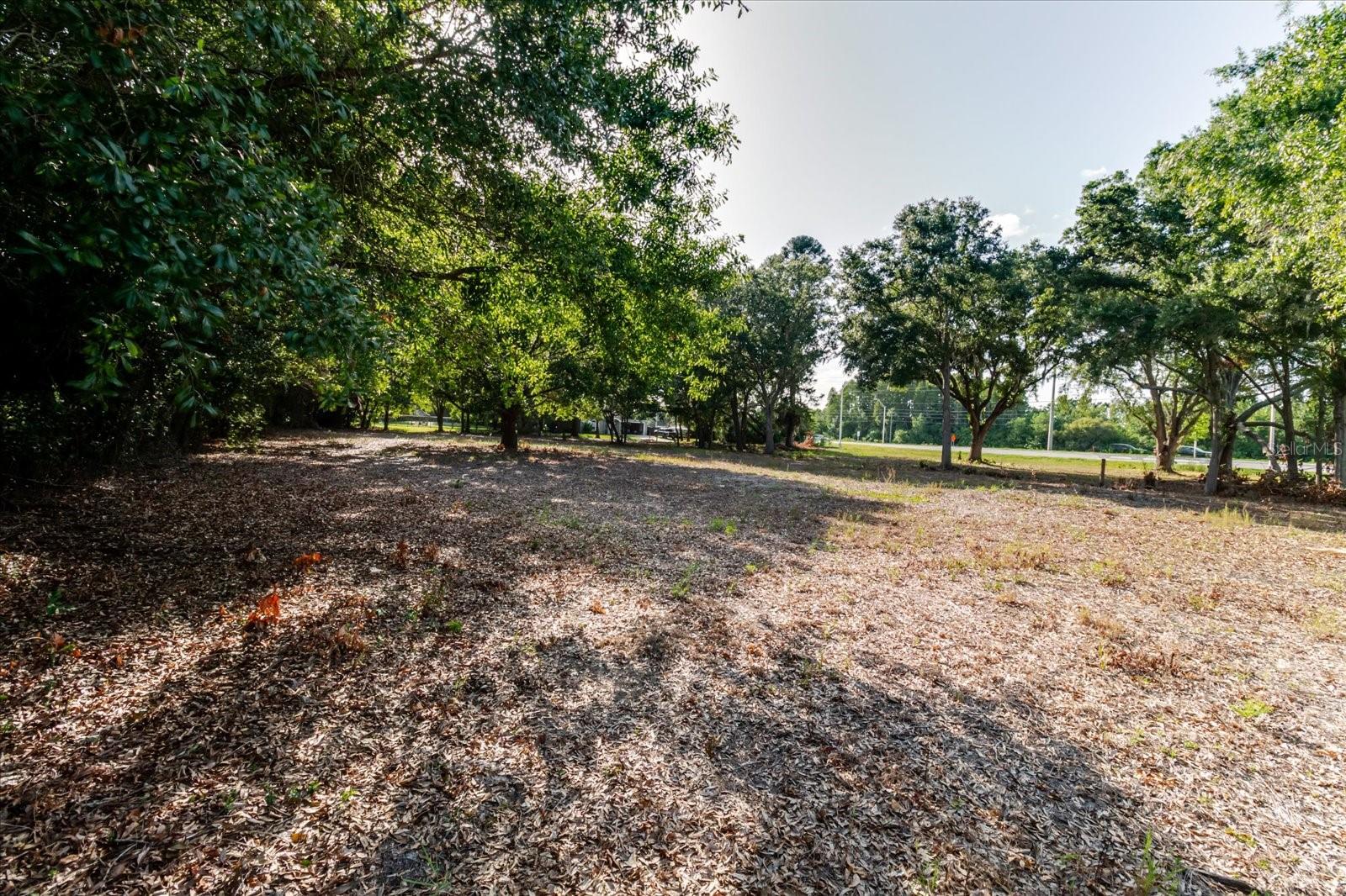 17380 RIVERSTONE DR, LUTZ, FL — photo 48