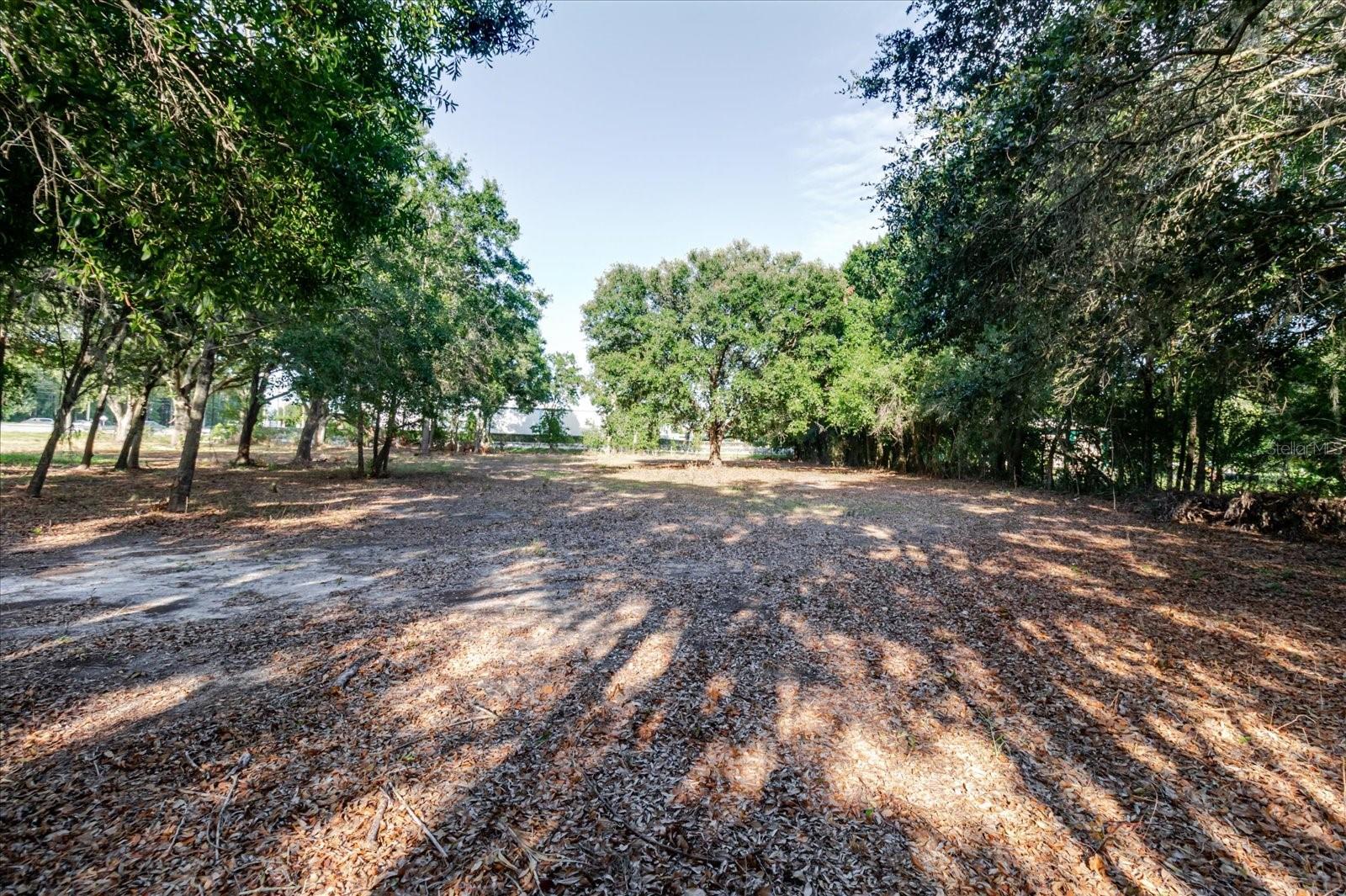 17380 RIVERSTONE DR, LUTZ, FL — photo 52
