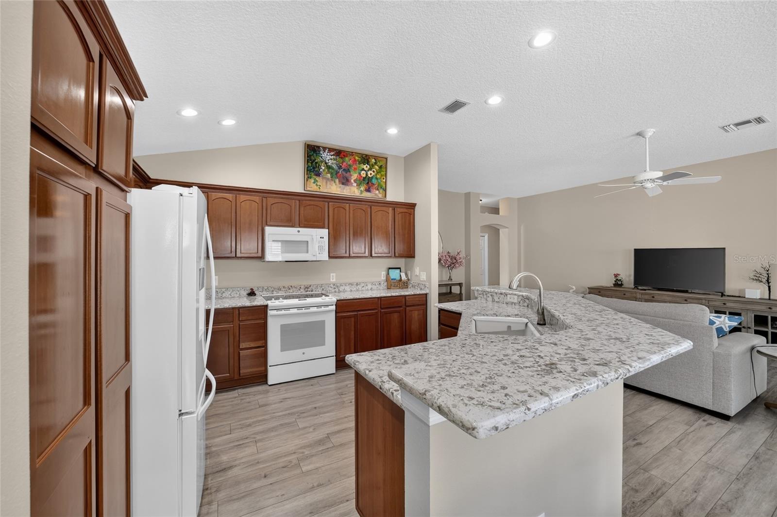 2408 SAFFRON LN, THE VILLAGES, FL — photo 8