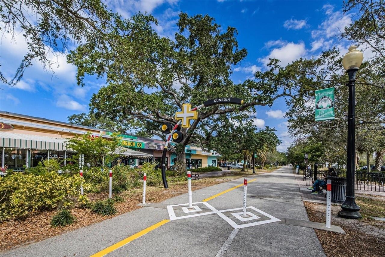 411 BIRDSONG LN, DUNEDIN, FL — photo 51