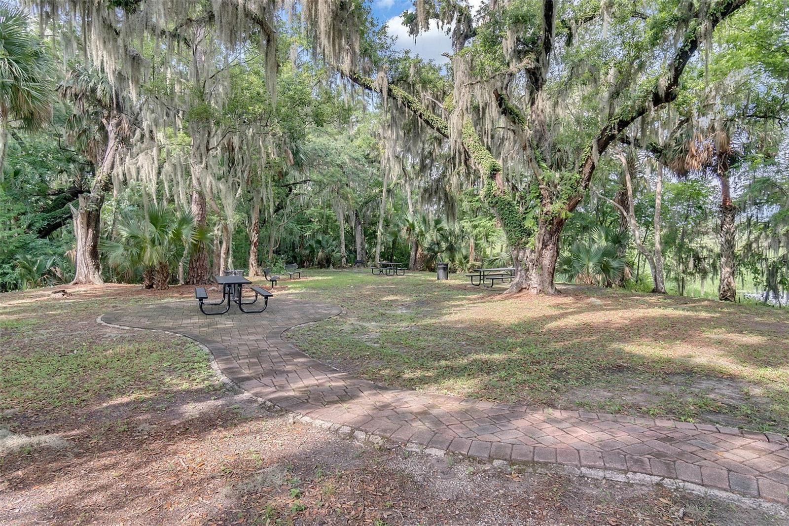 219 VERDE WAY, DEBARY, FL — photo 65