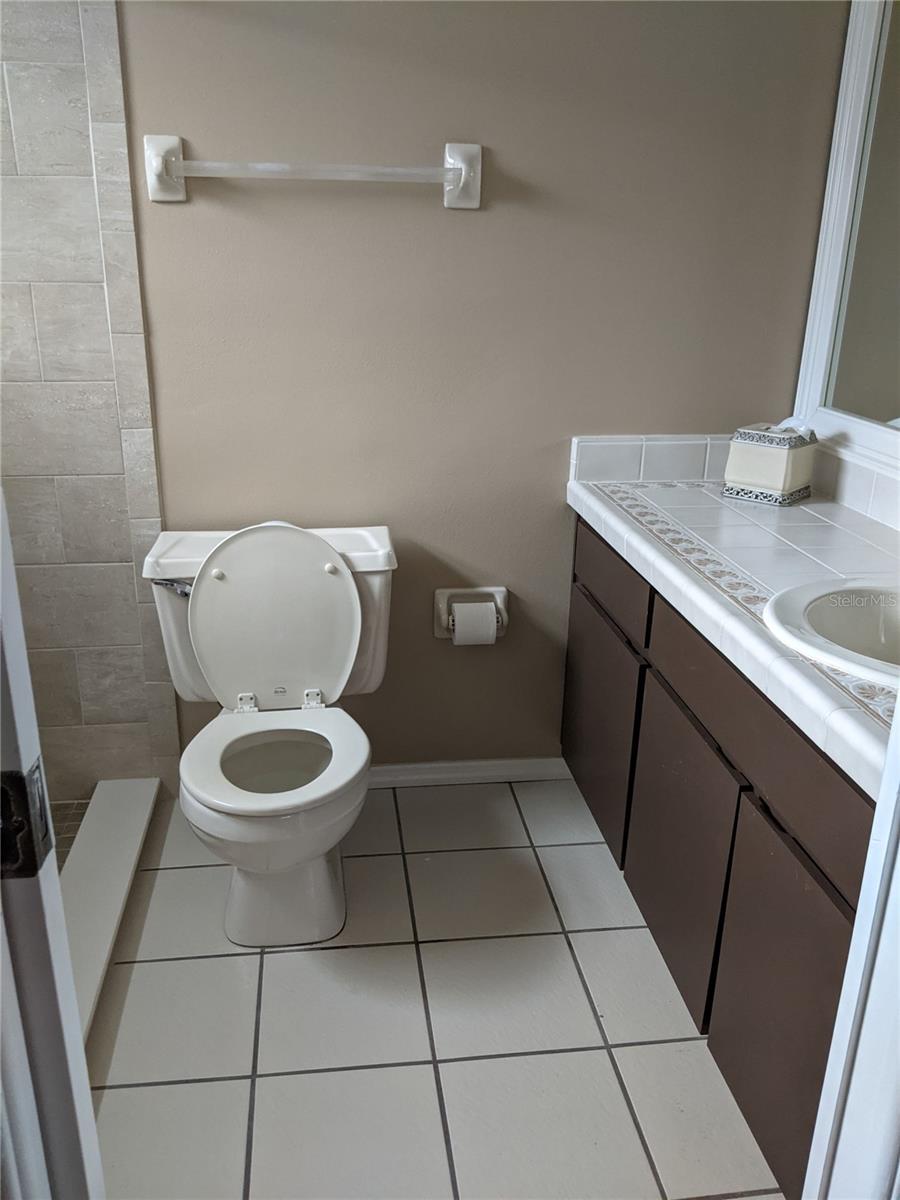 333 BRANDYWINE DR, VALRICO, FL — photo 10