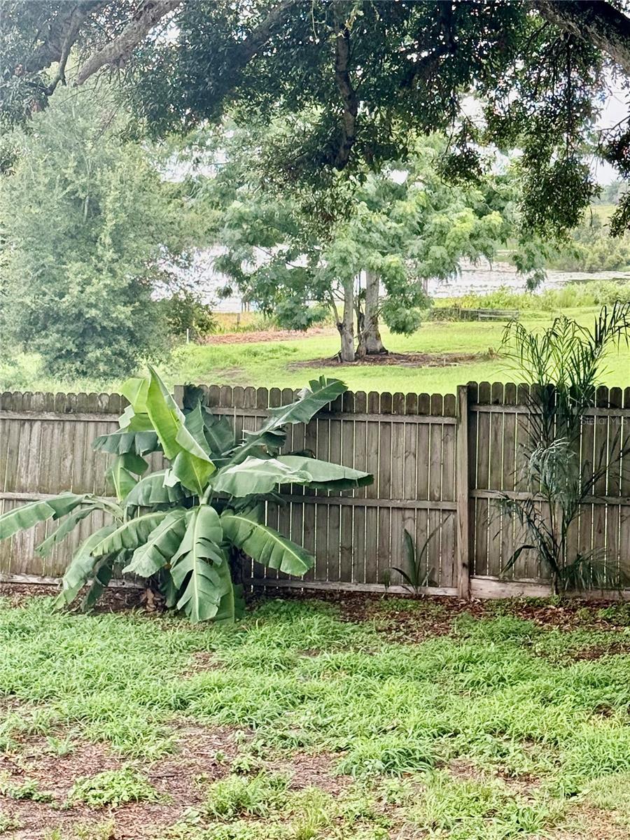 217 KELLY ST S, LAKE HAMILTON, FL — photo 24