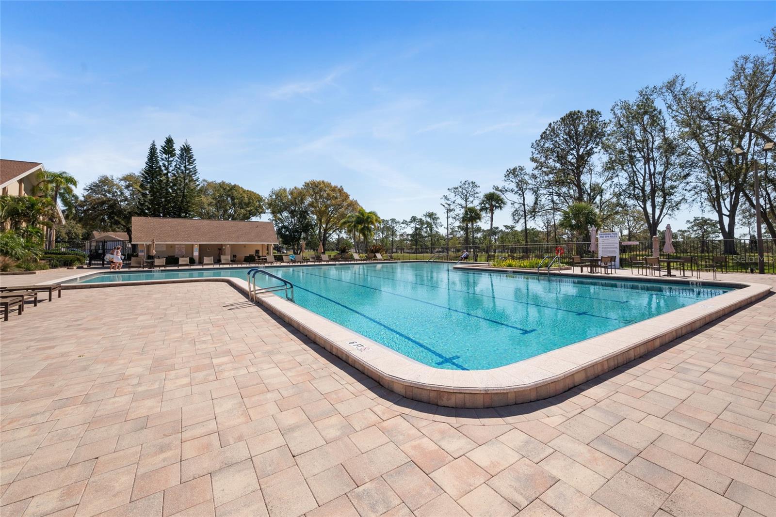 3498 E WOODMONT WAY, PALM HARBOR, FL — photo 43