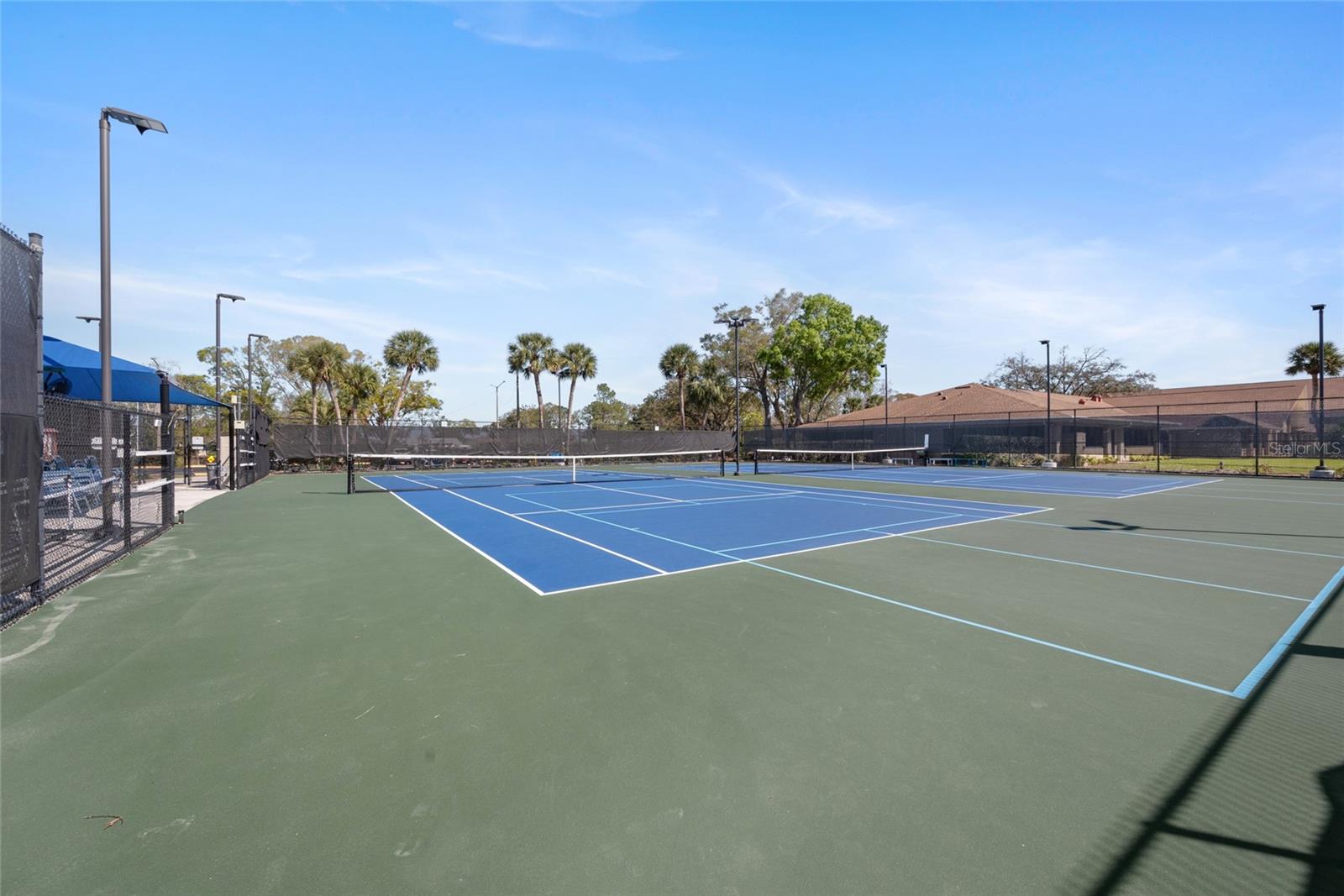3498 E WOODMONT WAY, PALM HARBOR, FL — photo 45