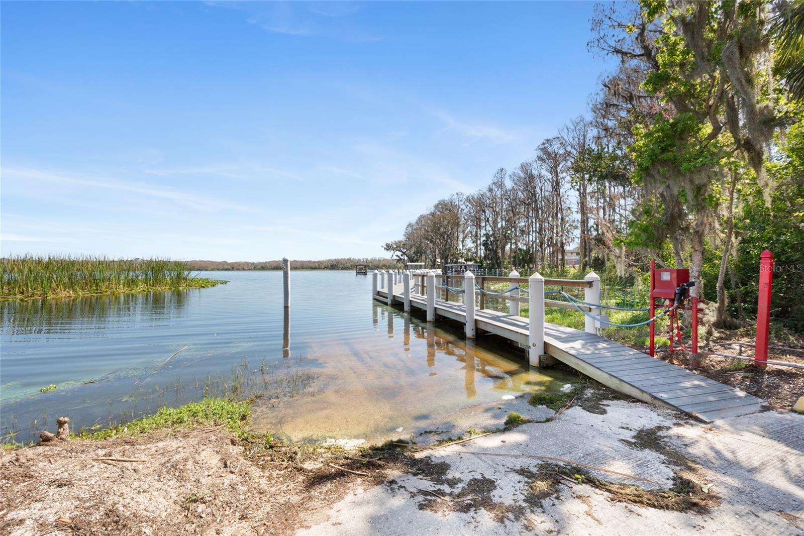 3498 E WOODMONT WAY, PALM HARBOR, FL — photo 59