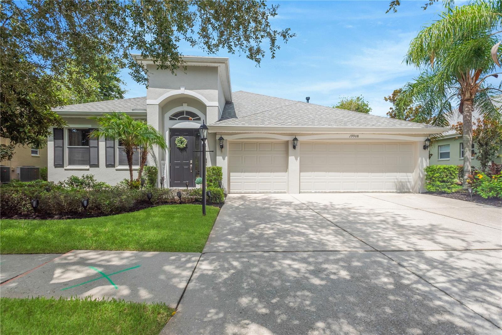 19908 BLUFF OAK BLVD, TAMPA, FL