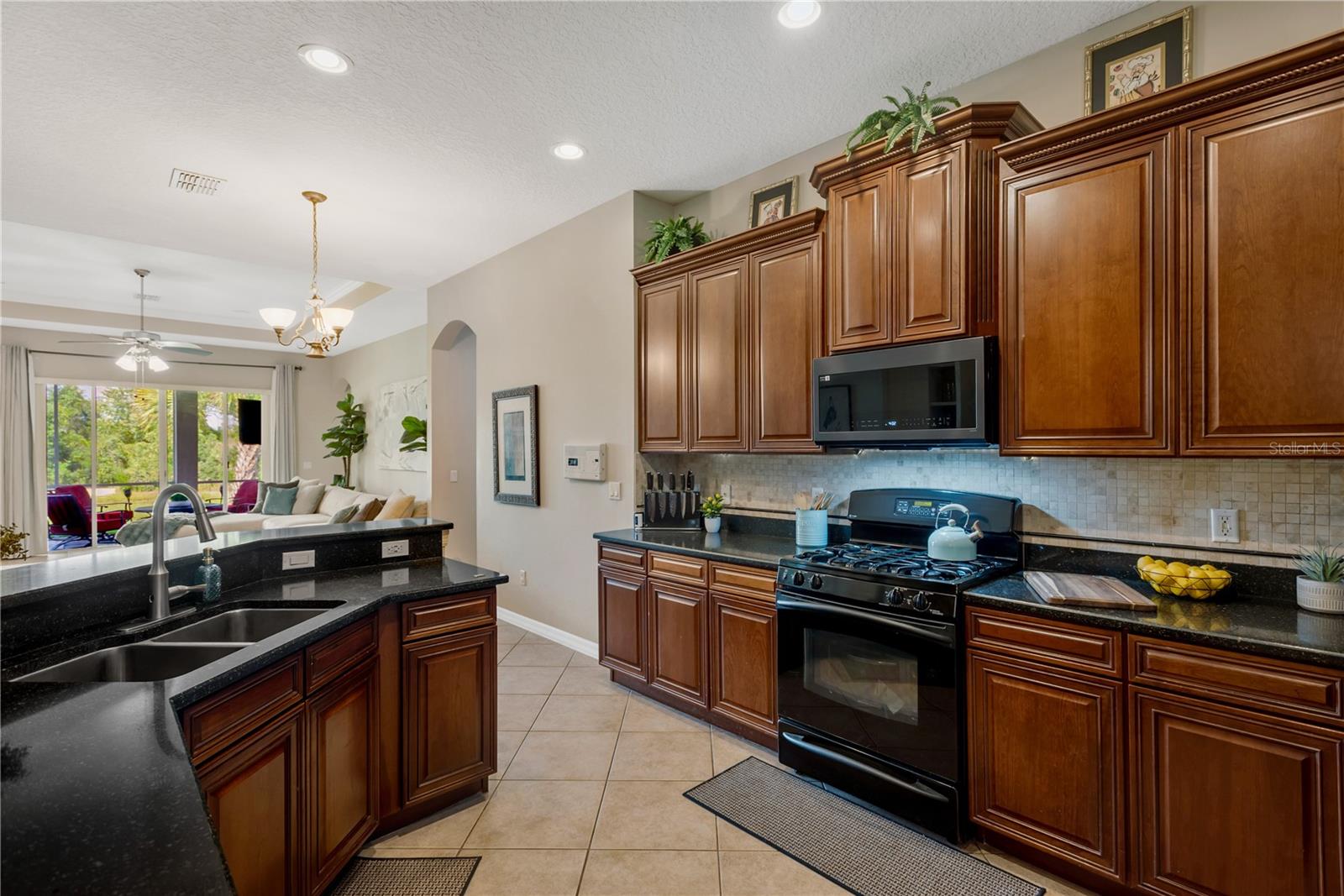 19908 BLUFF OAK BLVD, TAMPA, FL — photo 3
