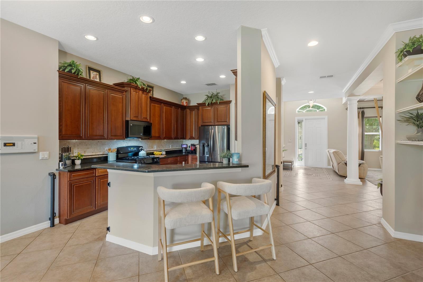 19908 BLUFF OAK BLVD, TAMPA, FL — photo 5