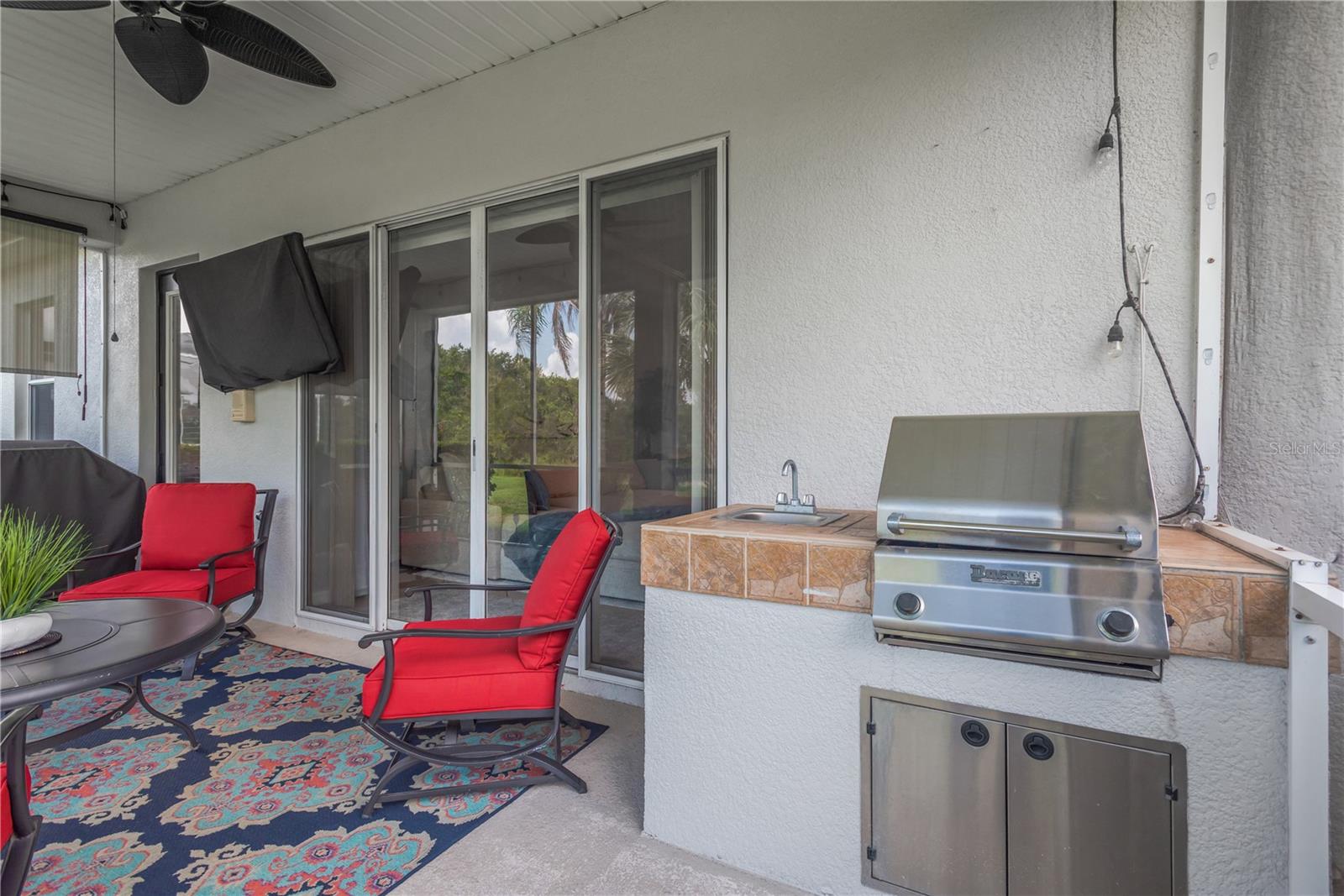 19908 BLUFF OAK BLVD, TAMPA, FL — photo 9
