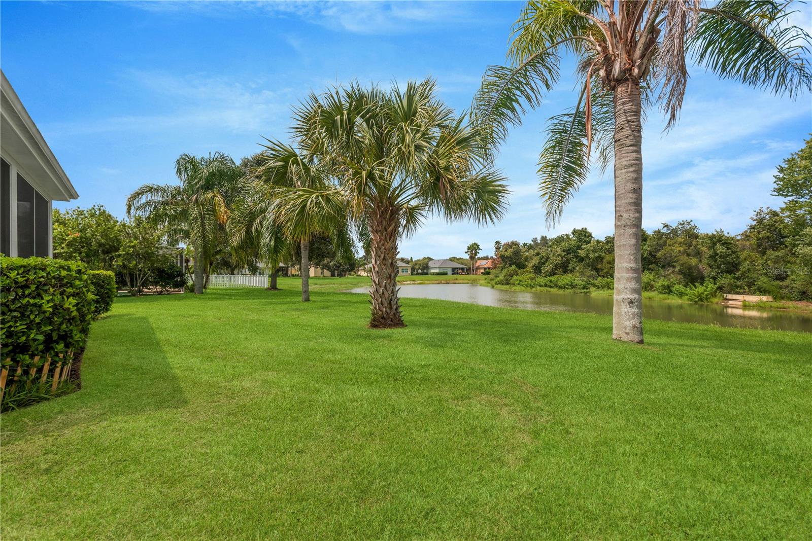 19908 BLUFF OAK BLVD, TAMPA, FL — photo 11