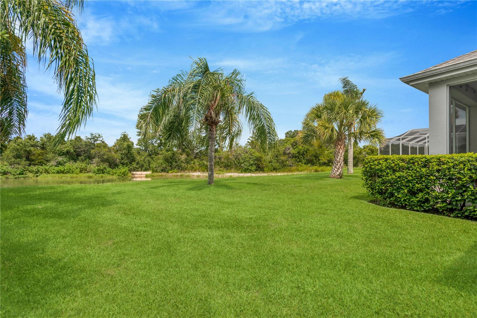 19908 BLUFF OAK BLVD, TAMPA, FL — photo 35