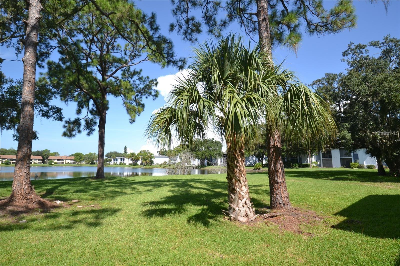 20 WOODLAKE PL #20, OLDSMAR, FL — photo 25
