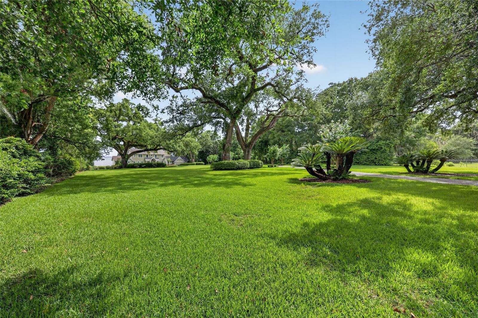 12950 E HIGHWAY 25, OCKLAWAHA, FL — photo 73