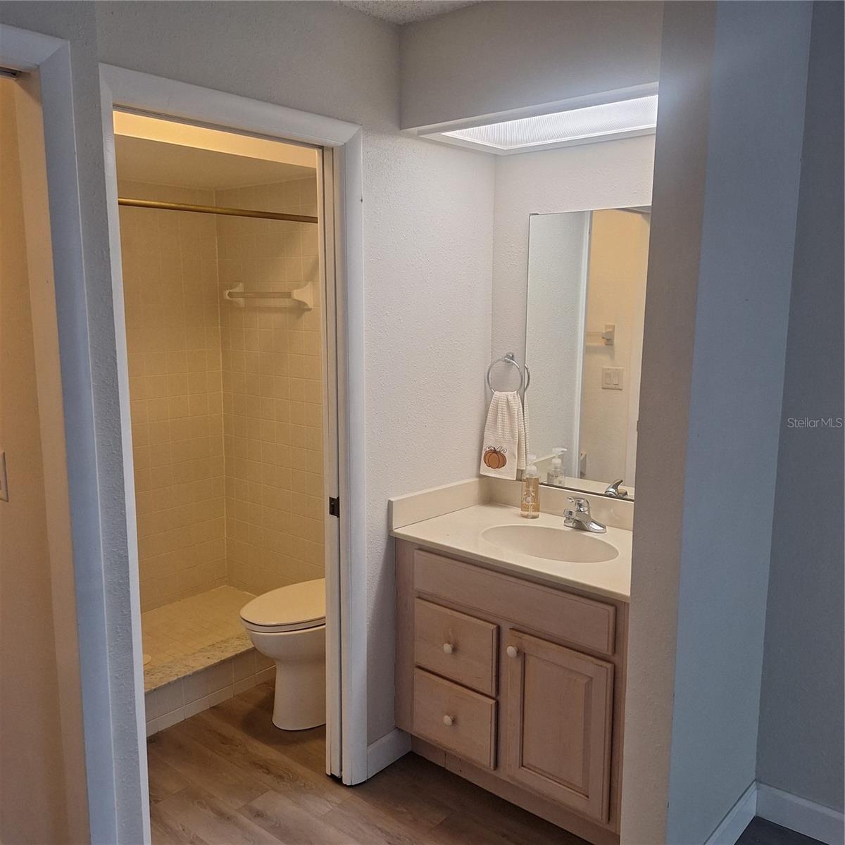 2377 LAKE HEATHER HEIGHTS CT #2377, DUNEDIN, FL — photo 24