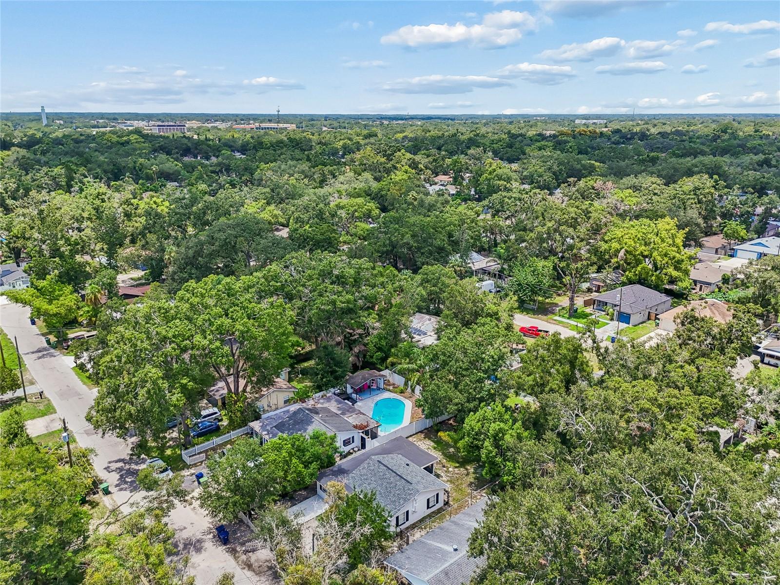 1614 E MAPLE AVE, TAMPA, FL — photo 64