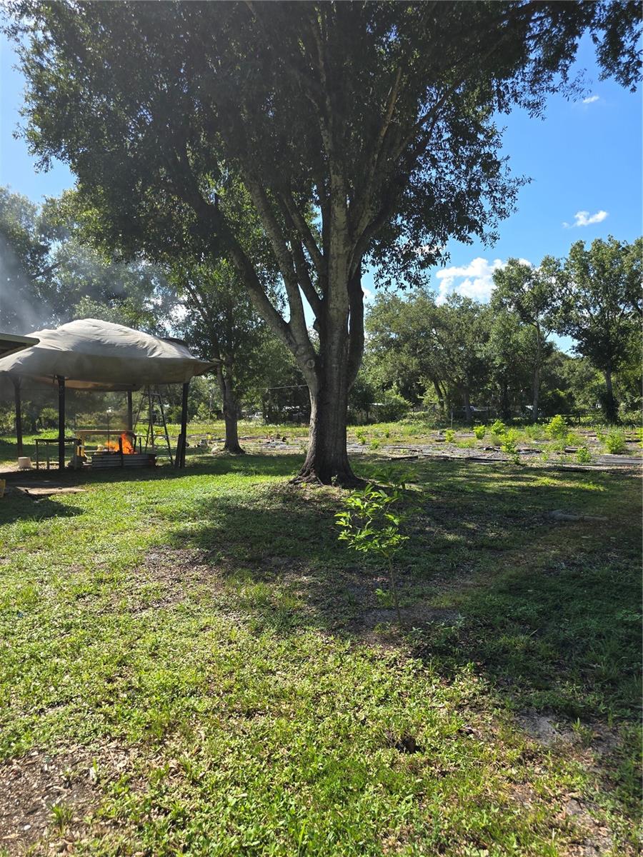 5302 SWAYING PALM DR, PUNTA GORDA, FL — photo 14