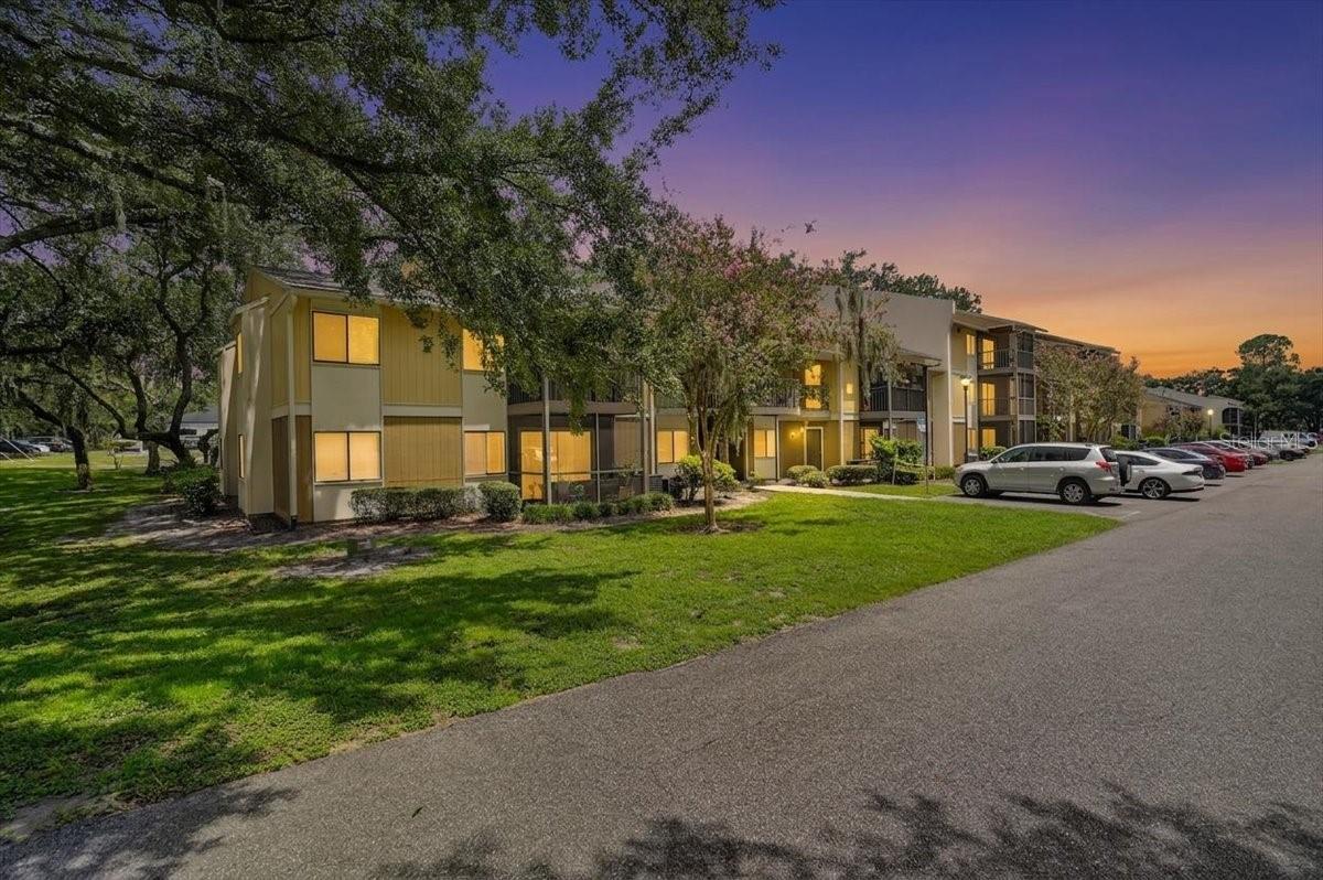 13405 ARBOR POINTE CIR #104, TAMPA, FL