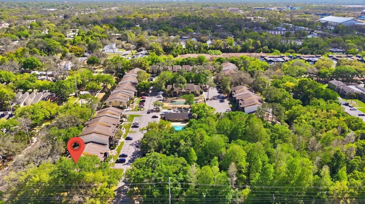 13405 ARBOR POINTE CIR #104, TAMPA, FL — photo 24